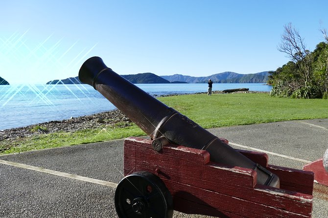 Captain Cook and Dolphin Cruise - Practical advice for a better day