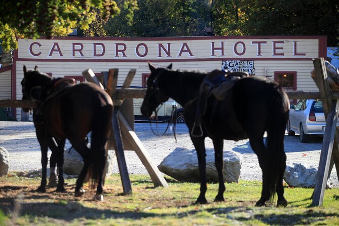 Cardrona High Country Pub Trail Horse Riding Trek (Intermediate+) - Key points to know before you saddle up