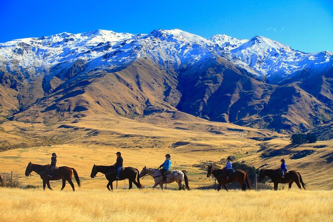 Cardrona High Country Pub Trail Horse Riding Trek (Intermediate+) - Starting at Cardrona Valley Road