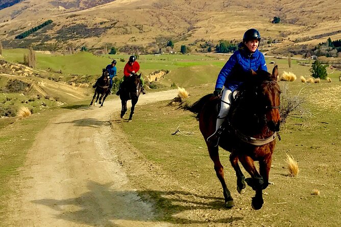 Cardrona High Country Pub Trail Horse Riding Trek (Intermediate+) - The Cardrona Hotel drink stop