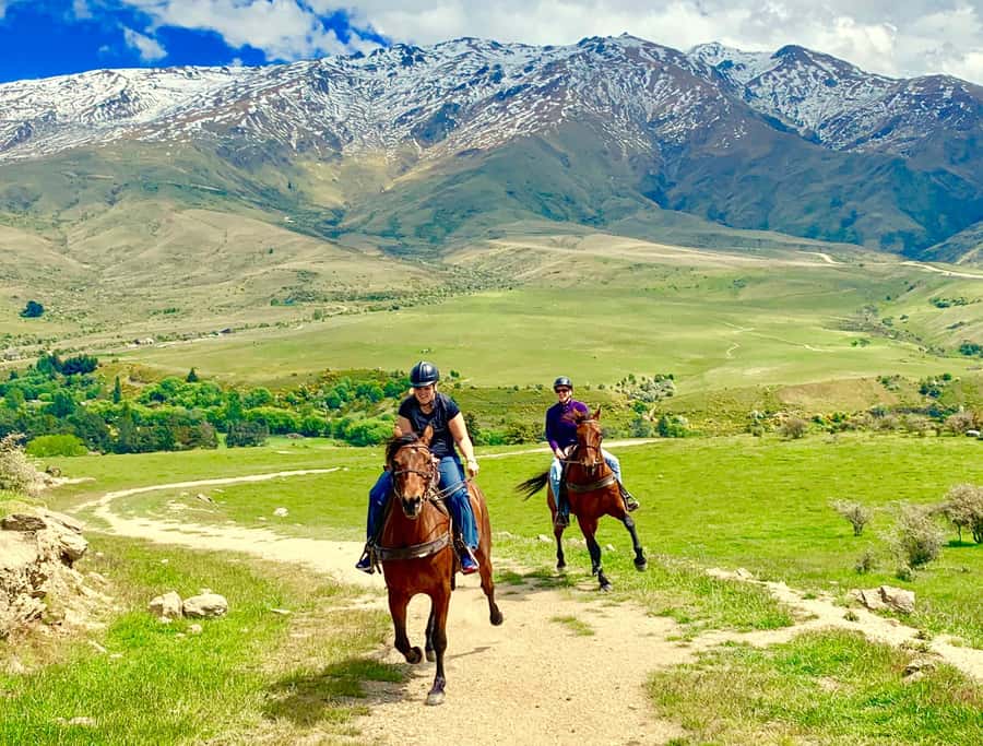 Cardrona Valley: Horse Trekking Experience - Your private lesson before the trail