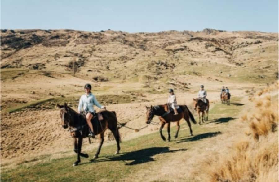 Cardrona Valley: Horse Trekking Experience - Choosing between the gentle and faster trail styles