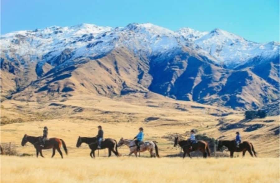 Cardrona Valley: Horse Trekking Experience - Weather, clothing, and comfort