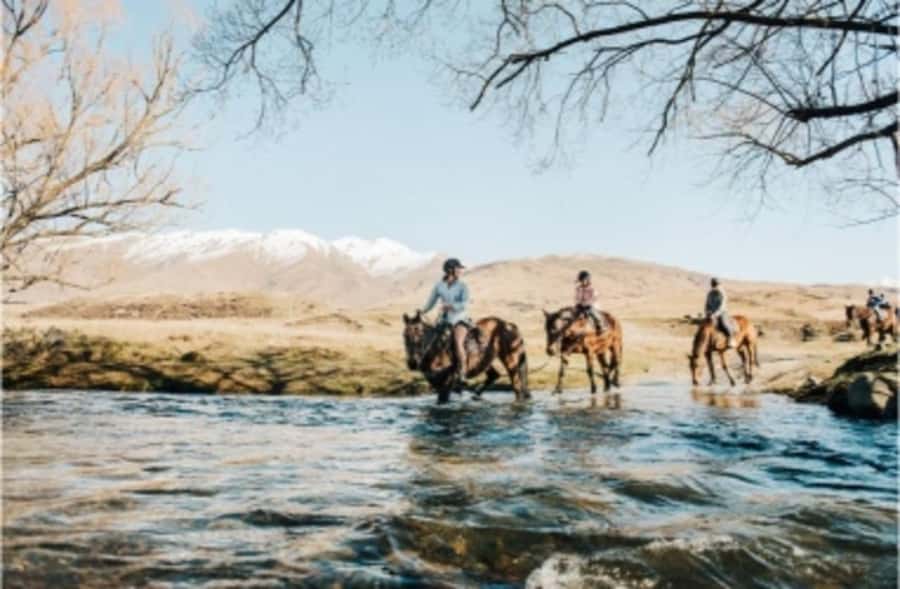 Cardrona Valley: Horse Trekking Experience - Who will enjoy this Cardrona ride most