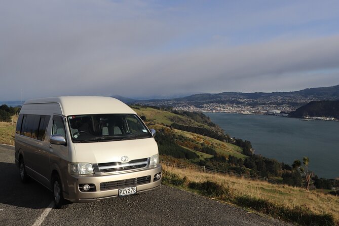 Castle, Coast & City Tour - 8 pax max - Castle Entrance Included - Baldwin Street: a quick test of your legs