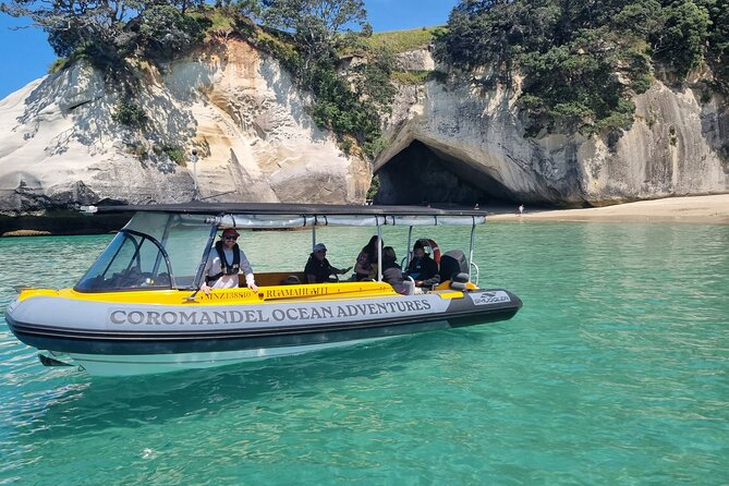 Cathedral Cove 2 Hour Guided Tour Explore Marine Wonders - Key points at a glance
