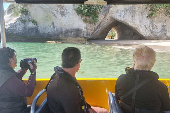 Cathedral Cove 2 Hour Guided Tour Explore Marine Wonders - Te Whanganui a Hei brings marine life into view