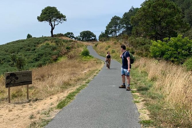 Cathedral Cove and Hot Water Beach Scenic Day Tour from Auckland - How the price compares with the experience