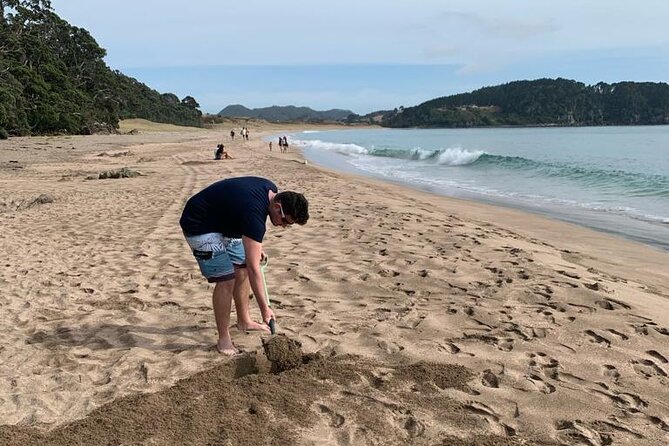 Cathedral Cove and Hot Water Beach Scenic Day Tour from Auckland - Who should book this tour?