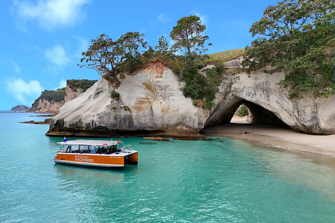 Cathedral Cove Coast and Cave Activity - Key points to know before you book