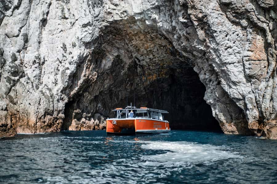 Cathedral Cove Coast and Cave Tour - Key points at a glance