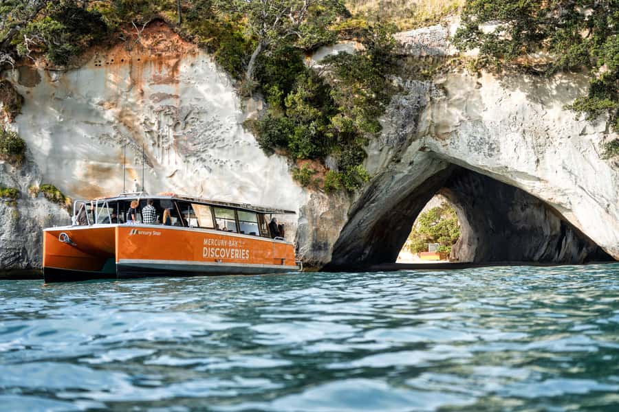 Cathedral Cove Coast and Cave Tour - Snorkelling with snapper in Te Whanganui-o-Hei