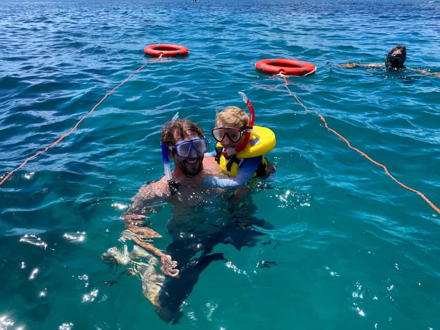 Cathedral Cove Coast and Cave Tour - A 150-minute route with plenty packed in