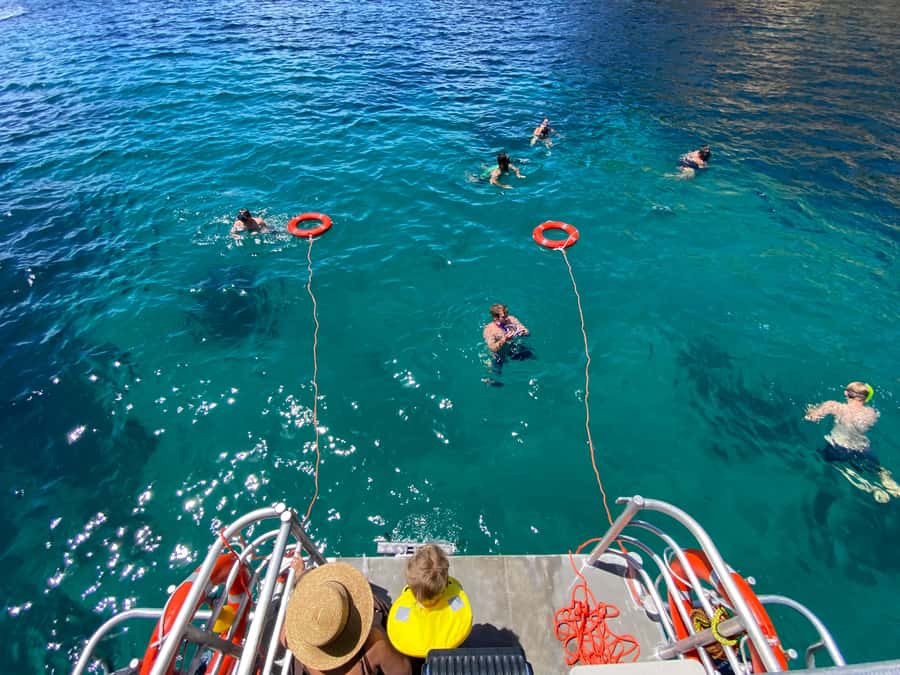 Cathedral Cove Coast and Cave Tour - A crew that keeps the ride personal