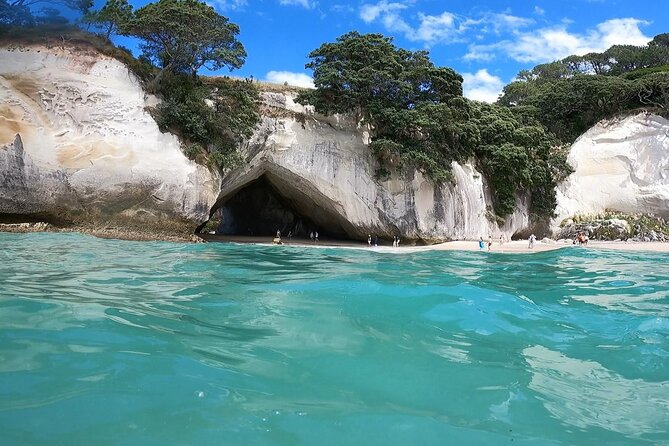 Cathedral Cove & Coromandel Peninsula Small-Group Day Tours - Key points to know before booking