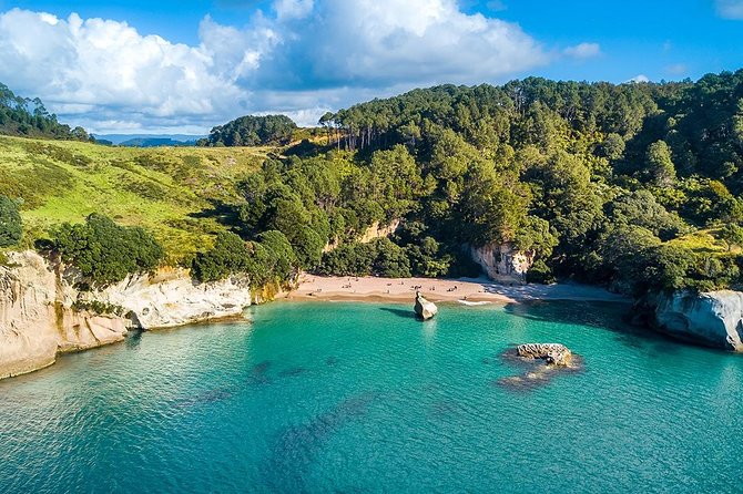 Cathedral Cove & Coromandel Peninsula Small-Group Day Tours - Is NZ$164.45 a fair price?