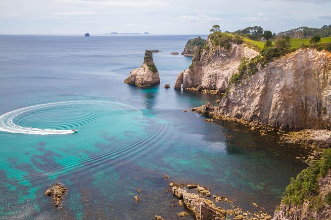 Cathedral Cove & Coromandel, Small-Group Tour from Auckland - The morning road through Waikato