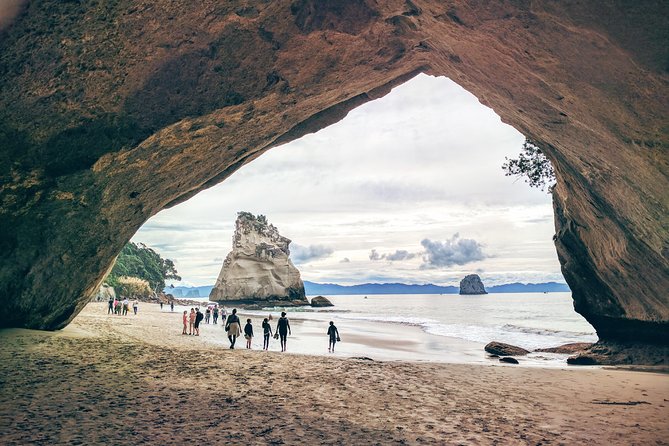 Cathedral Cove Day Trip from Auckland - Why this Coromandel day trip works