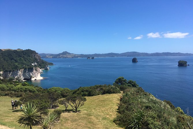 Cathedral Cove Day Trip from Auckland - The walk to Cathedral Cove