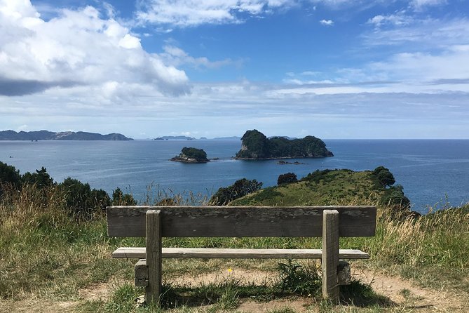 Cathedral Cove Day Trip from Auckland - Is the $242.02 price fair?