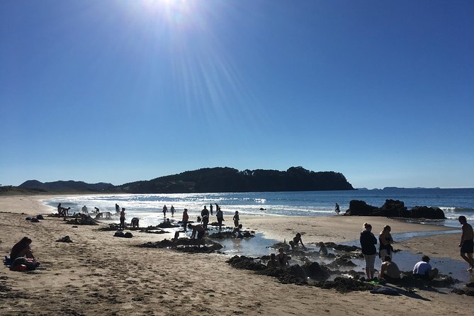 Cathedral Cove Day Trip from Auckland - Fitness, clothing, and weather