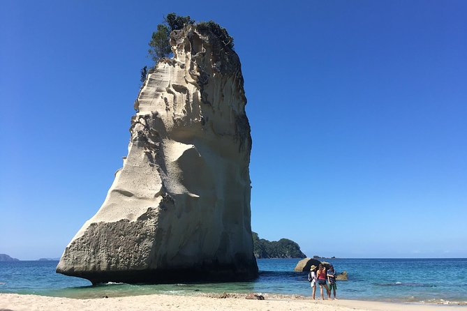 Cathedral Cove Day Trip from Auckland - From Auckland at 8:00 am to the Coromandel