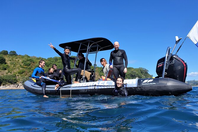Cathedral Cove Dive & Snorkel- Marine Reserve specialised trips - Key points to know before booking