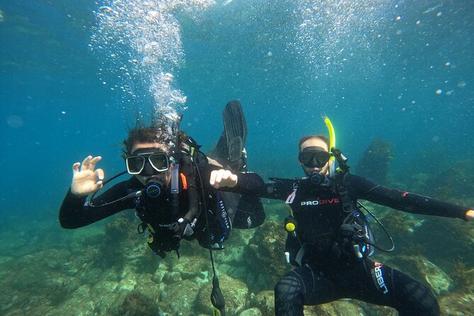 Cathedral Cove Dive & Snorkel- Marine Reserve specialised trips - The crew and the small boat setting
