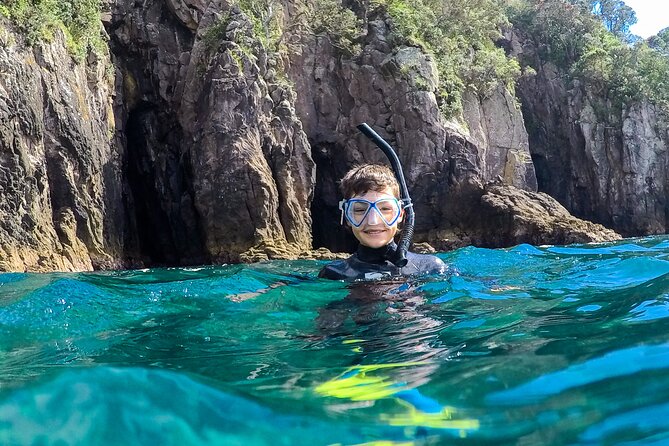 Cathedral Cove Dive & Snorkel- Marine Reserve specialised trips - Who will get the most from this experience?