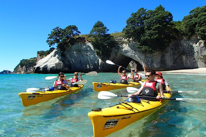 Cathedral Cove Kayak Tour - Key points to know before you paddle