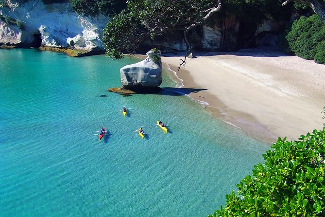 Cathedral Cove Kayak Tour - Through sea caves, bays, and rock gardens