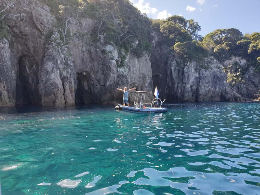 Cathedral Cove Marine Reserve: Snorkeling Boat Trip - What the hour in the water can offer