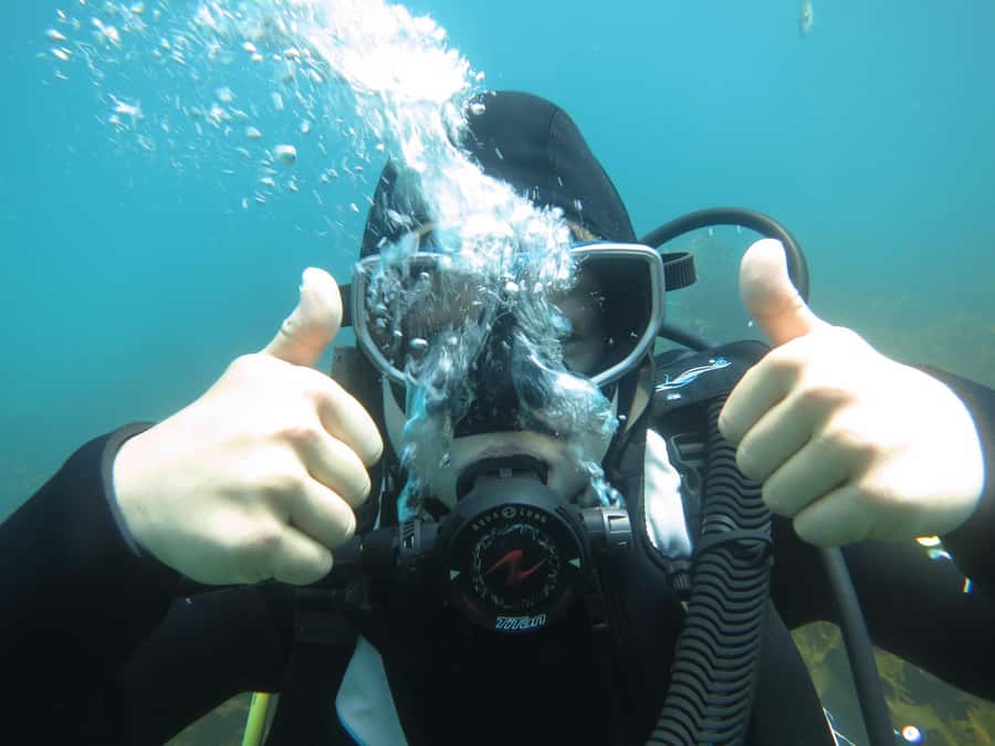 Cathedral Cove Marine Reserve: Snorkeling Boat Trip - Is $85 a fair price?