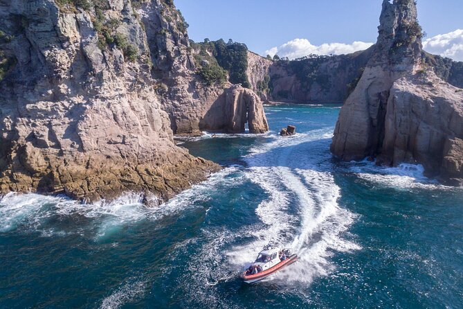 Cathedral Cove Scenic Cruises Whitianga - Key points to know before boarding