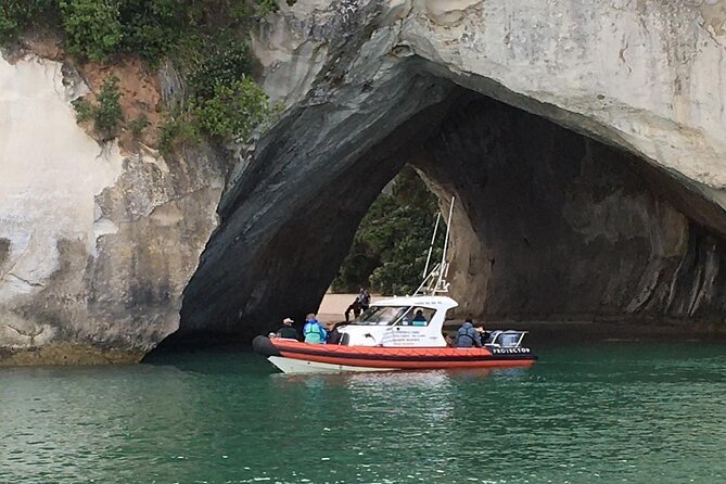 Cathedral Cove Scenic Cruises Whitianga - Who should book this cruise?
