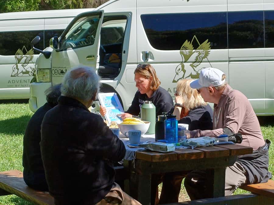 Christchurch: Akaroa and Banks Peninsula Day Trip - Key points to know before you book