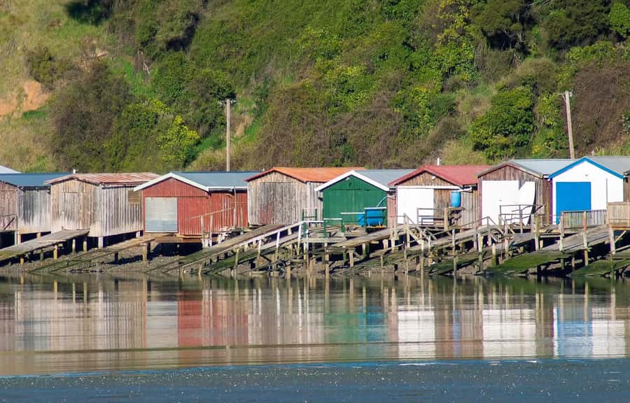 Christchurch: Akaroa and Banks Peninsula Day Trip - How the guides shape the day