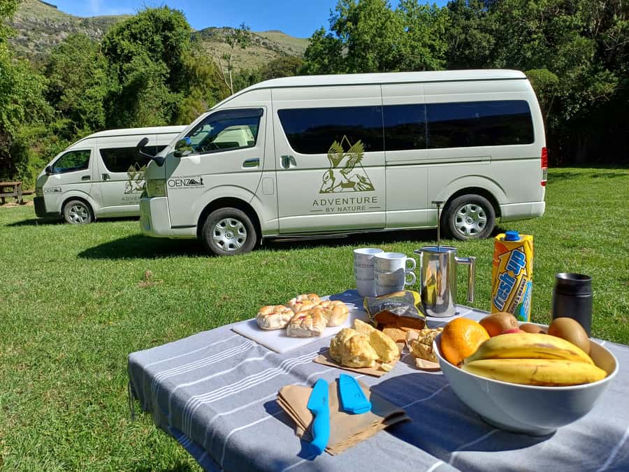 Christchurch: Arthur's Pass & Castle Hill Scenic Day Tour - Food, drinks, and what the $328 price covers