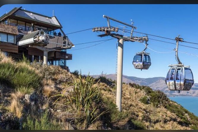 Christchurch City Full Day Private Tour - A big Christchurch day, from the Port Hills to the Pacific
