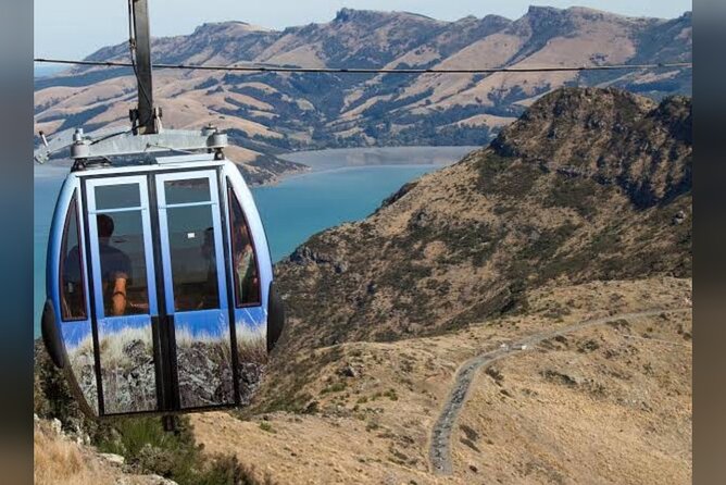 Christchurch City Full Day Private Tour - Sumner Beach and Cave Rock: Christchurch by the sea