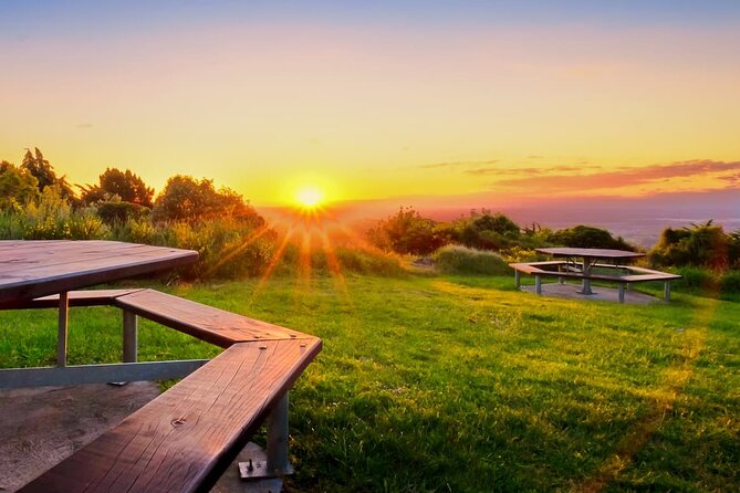 Christchurch City Highlights Half Day Tour - Guides can make or break the experience
