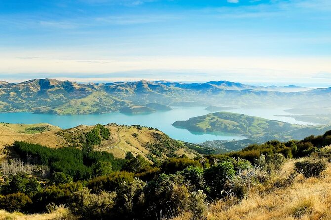 Christchurch City Highlights Half Day Tour - Timing, comfort, and who should book