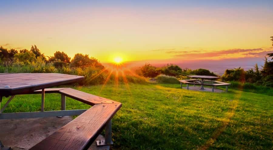 Christchurch City Highlights Half Day Tour - Booking details that affect the real cost