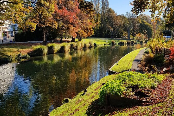 Christchurch City Private Day Tour with Gondola - What the private format adds