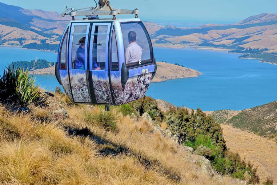 Christchurch: Gondola Ride - The summit view over Christchurch and the Southern Alps