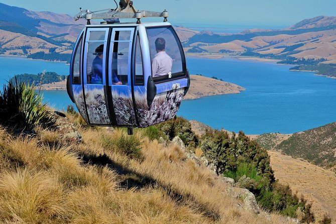 Christchurch Gondola Ride Ticket - Key points to know before you go