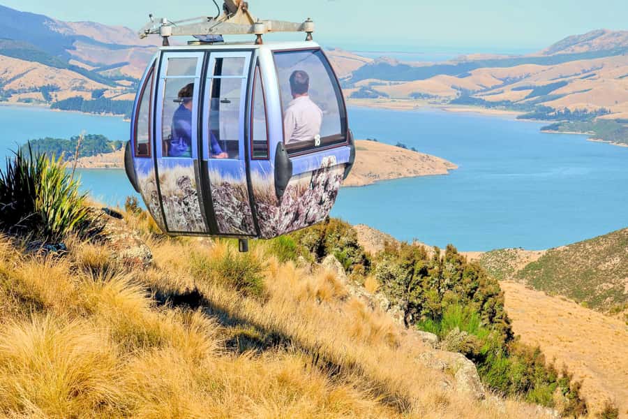Christchurch: Gondola Ticket and Punt Ride on the Avon River - Who will get the most from this experience