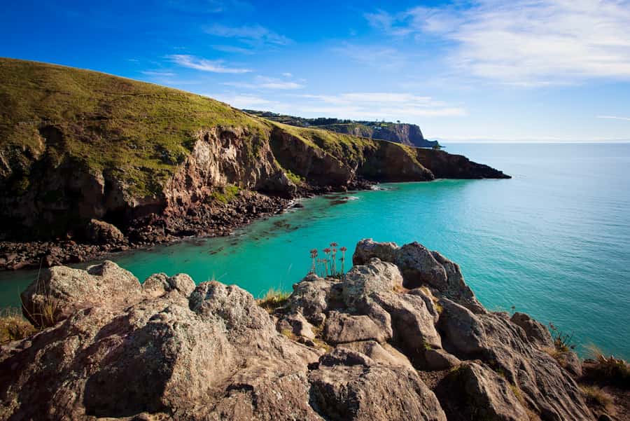 Christchurch: Guided Crater Rim Walk with Picnic - Who should book the Crater Rim Walk