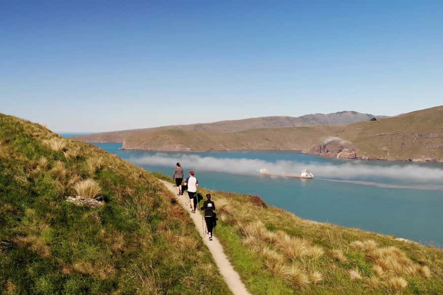 Christchurch: Guided Crater Rim Walk with Picnic - WW2 gun emplacements add real historical weight