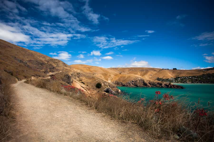 Christchurch: Guided Crater Rim Walk with Picnic - Boulder Bay is the right place for lunch